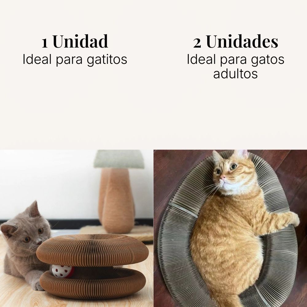 Juguete Gatuno Interactivo 3-en-1