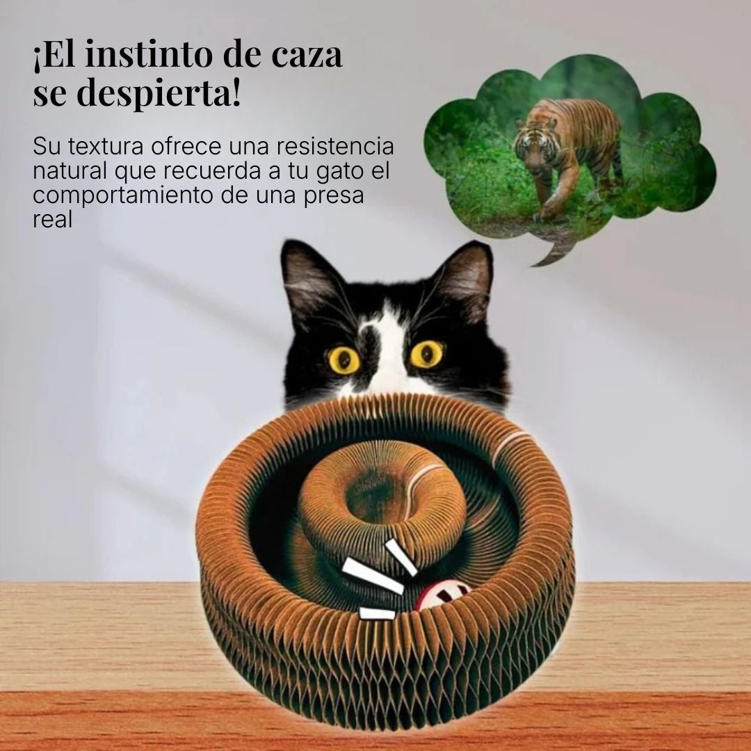 Juguete Gatuno Interactivo 3-en-1